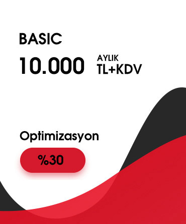 Basic SEO Fiyatları