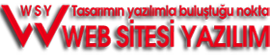 Web Sitesi Yazılım